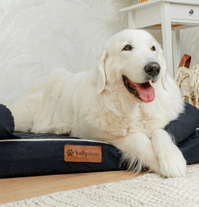 A sleek cosmetic bottle sits inside a pink rectangular box labeled Elegant, with soft shadows creating a clean, premium, and sophisticated product display.